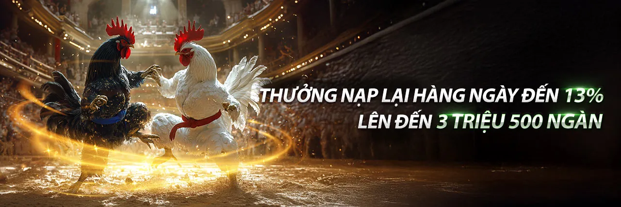 Đá gà đòn Thomo kịch tính